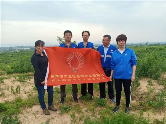 药材1.jpg